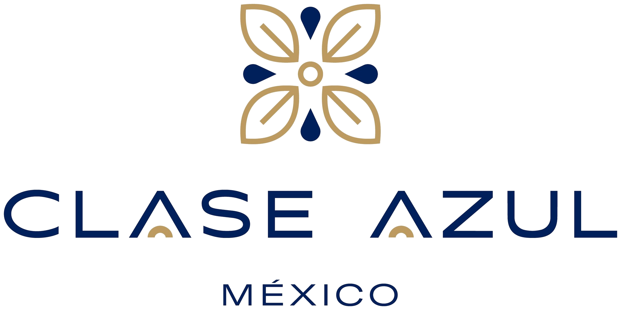 Clase Azul México